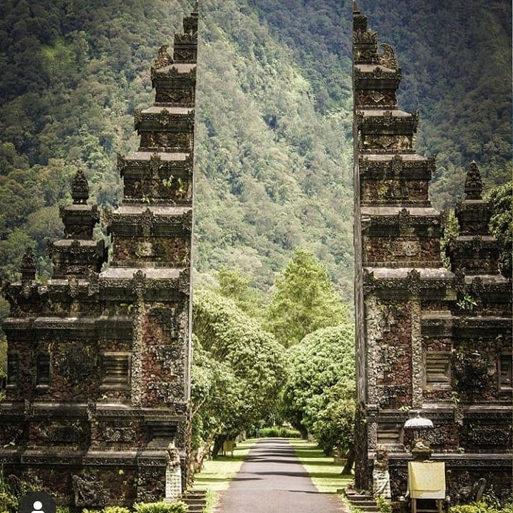 Lush tropical jungle in the Bali highlands near the Ubud waterfalls